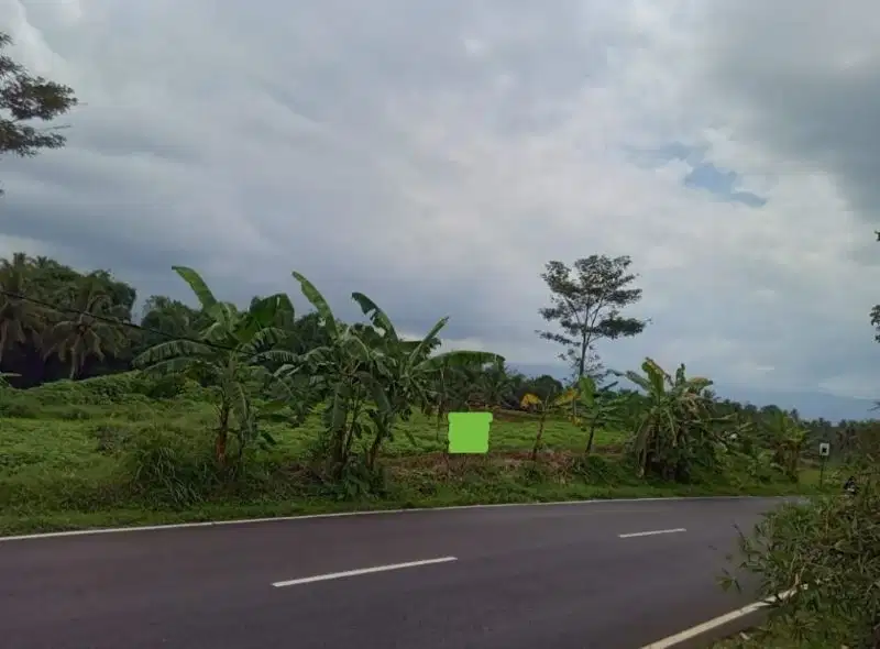 JUAL CEPAT (BU) TANAH DI JLN RAYA CIAWI - SINGAPARNA