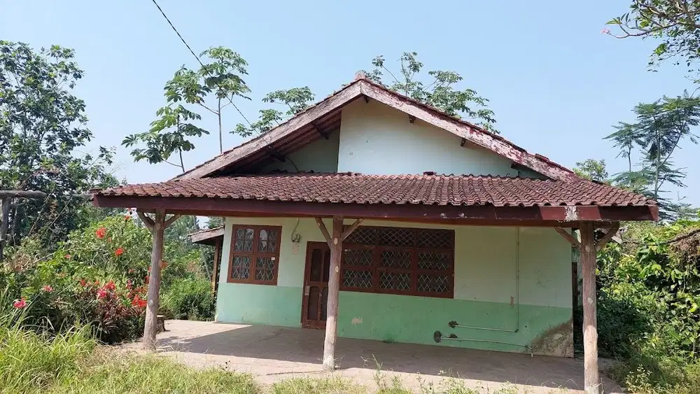 Tanah Kaveling Bambayang, Sukabumi Cocok untuk Villa Privasi