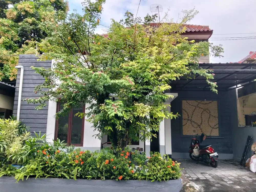Disewakan Rumah One Gate System Lokasi Kerobokan