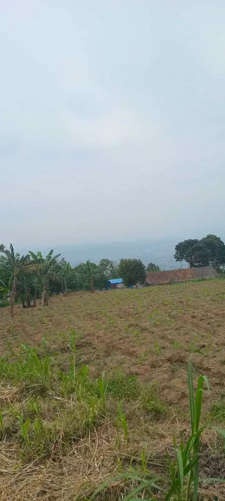 Jual tanah palutungan