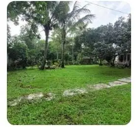 Tanah Mainroad Dago Bandung Cocok Untuk Hotel,Villa Rumah,kost kostan