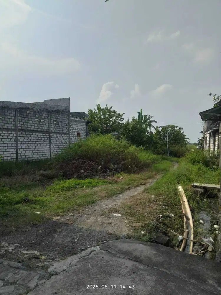 Tanah Murah Metatu Benjeng Gresik Dijual cpt B.U Poll 350 m Jl. Raya