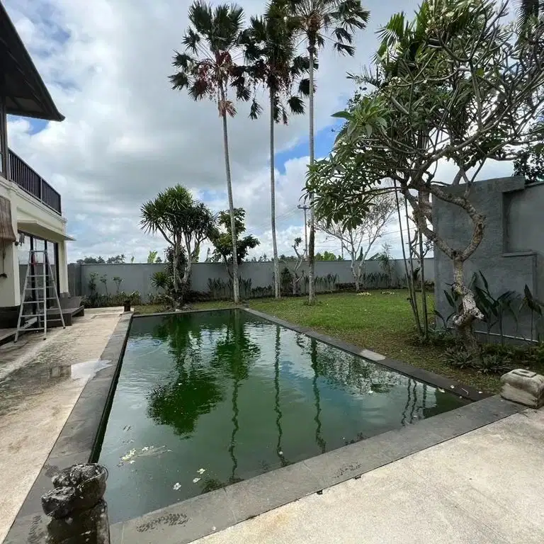 Villa View Sawah dekat Pantai Kedunggu Tabanan Bali