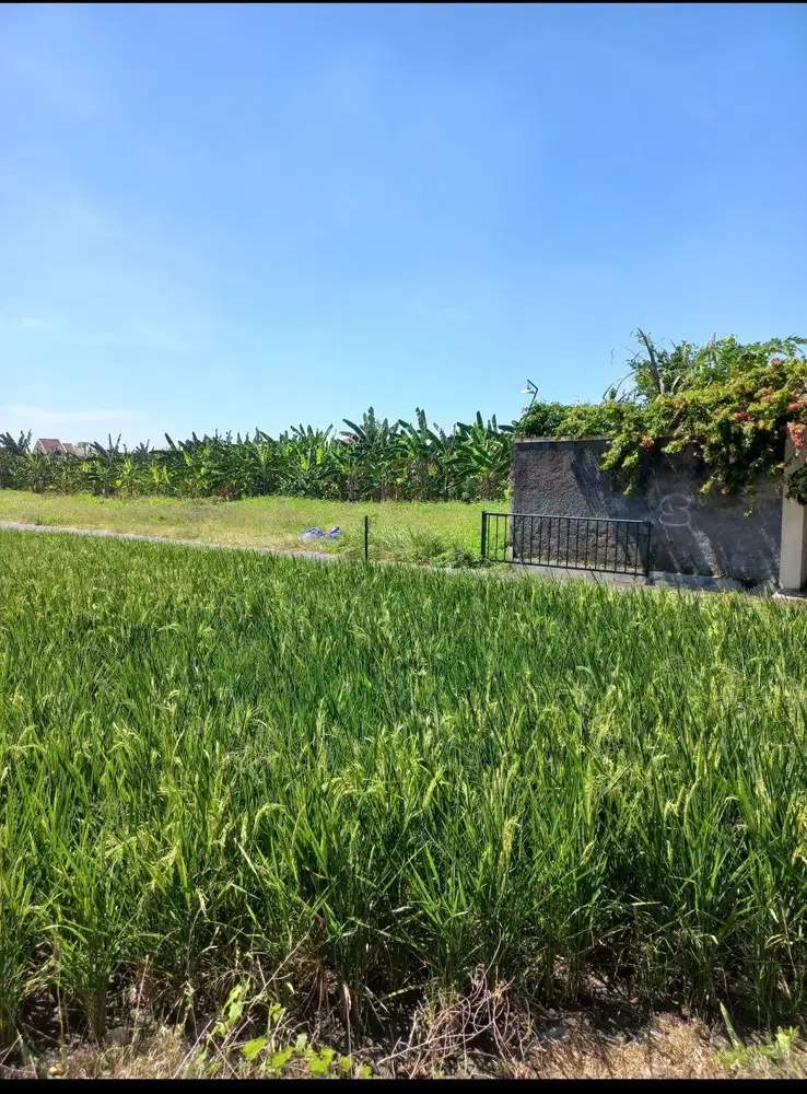 DIJUAL TANAH PEKARANGAN SIAP BANGUN LOKASI BATURAN COLOMADU