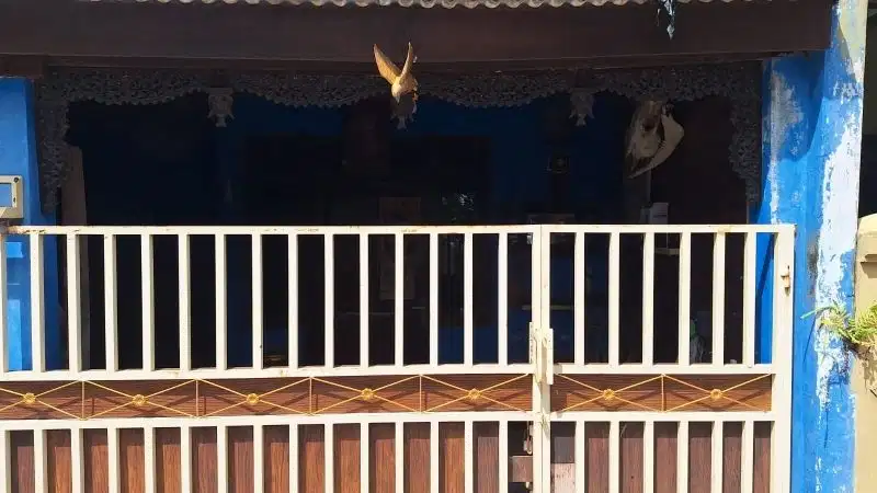 rumah asri dalam perumahan