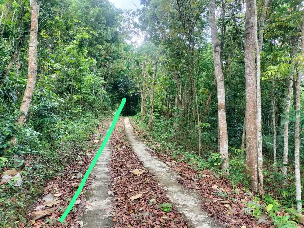 JUAL TANAH DI SENDANGSARI PENGASIH KULONPROGO