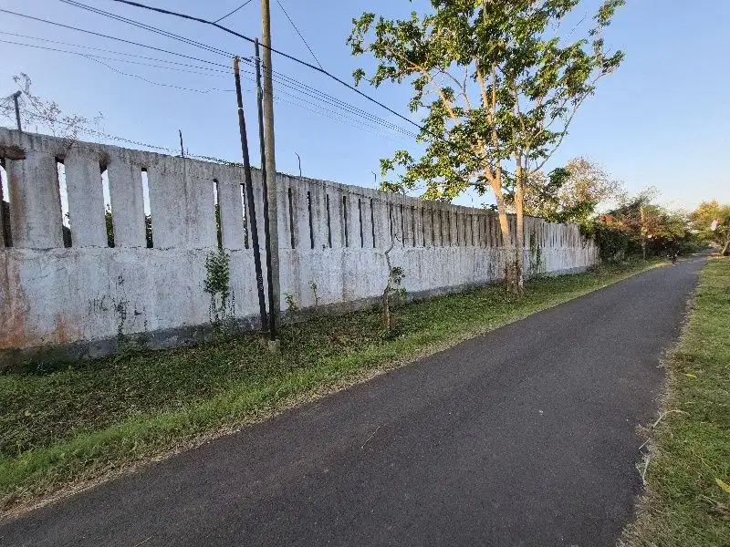 Tanah 92 are Hook jalan tegal badeng barat jembrana