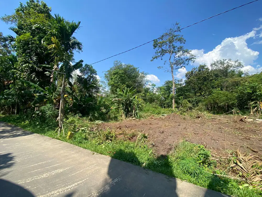 Dijual Tanah Talang Bakung