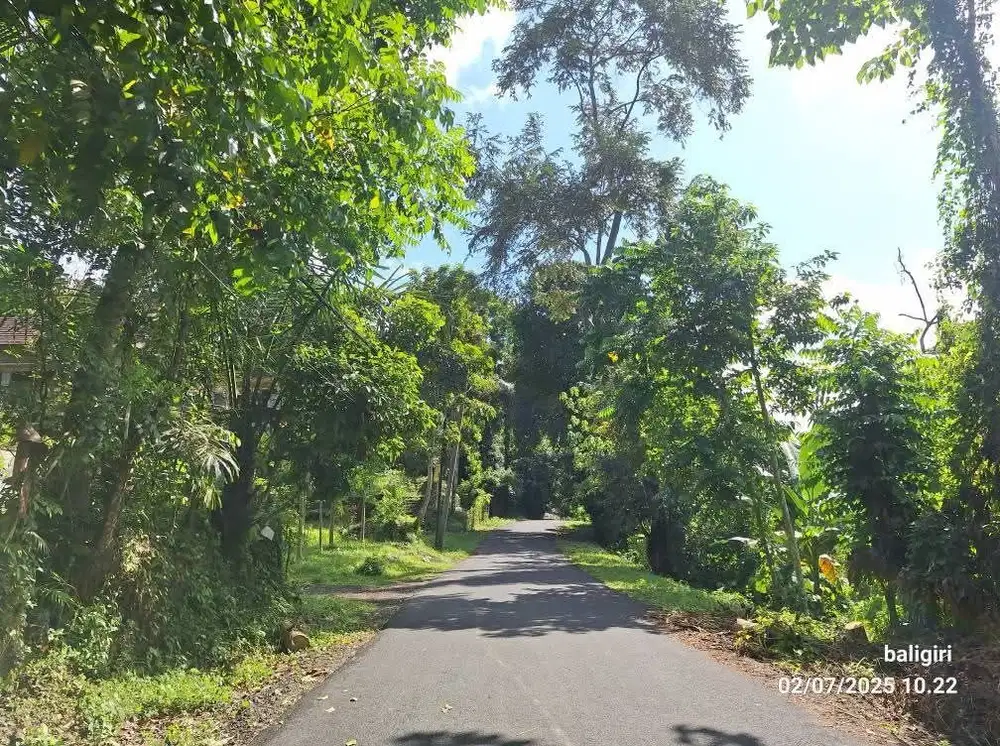 Tanah Villa Murah 8 Are di Karangasem