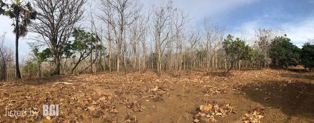 Dijual Tanah 1,5 HA di Kubutambahan seberang Bukit Teletubbies