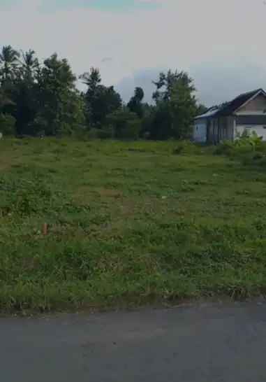 TANAH DI WATUKEBO BANYUWANGI