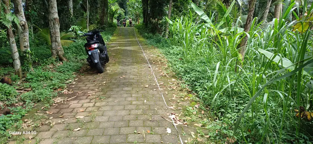tanah sewa view gunung  dan sawah cocok untuk vila