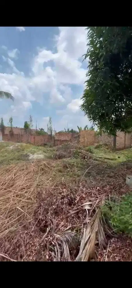 !TANAH TERJUN BEBAS DARI 150 JT KE 85 JT di Kapau Sari, Pekanbaru