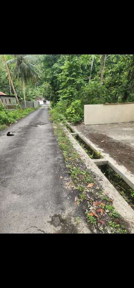 JUAL RUMAH TANAH LUAS DI PENGASIH KULONPROGO