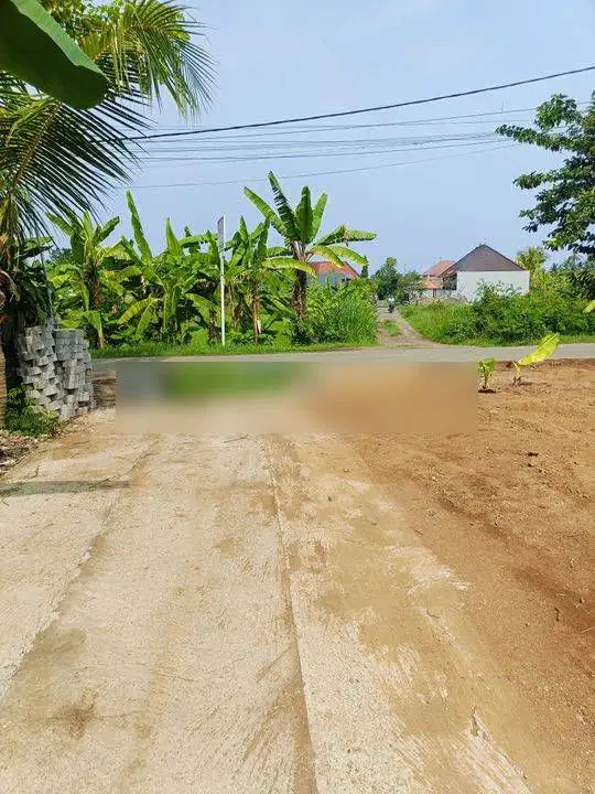 Land For Sale Dkt Pusat Lovina Area Villa, Jalan Kaki ke Pusat