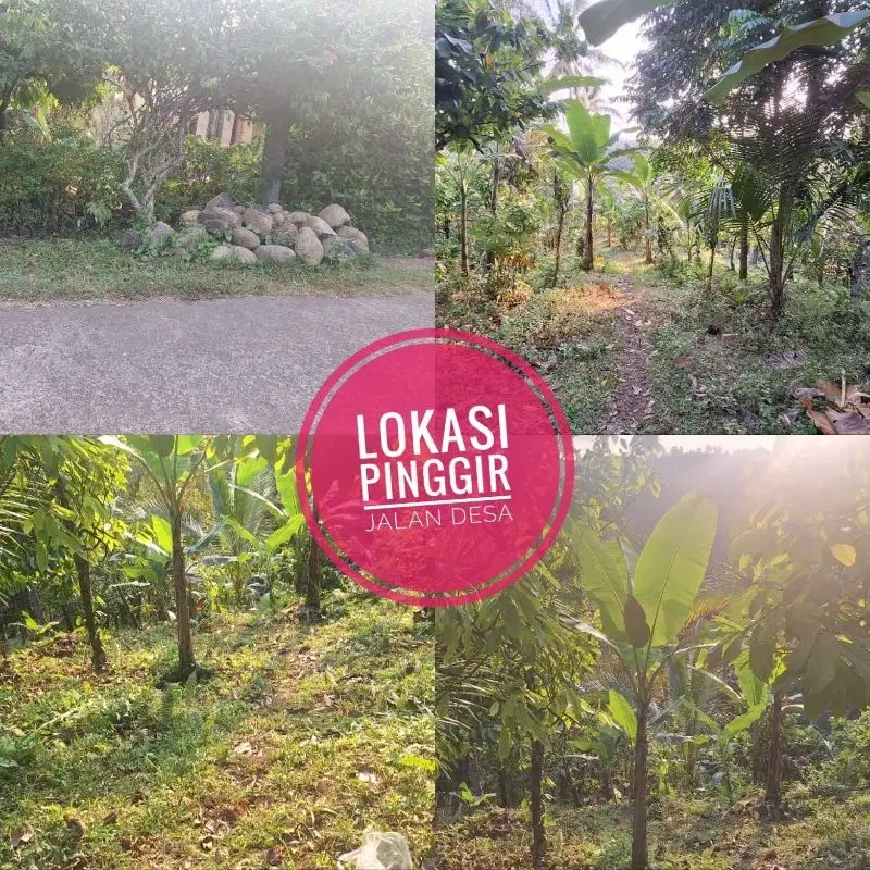 DIJUAL TANaH Murah  di Jembrana - Bali  View Sungai
