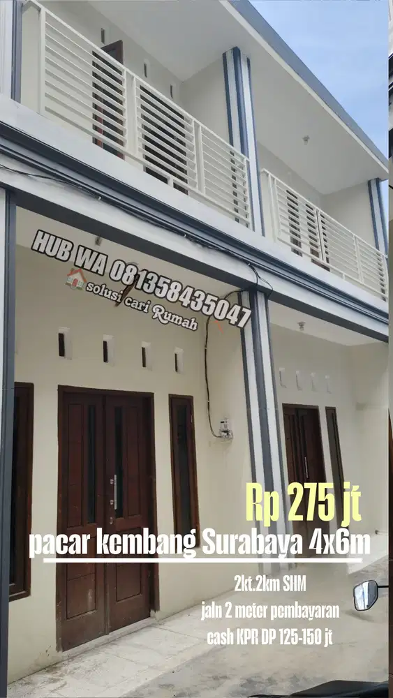 Pacar kembang rumah baru