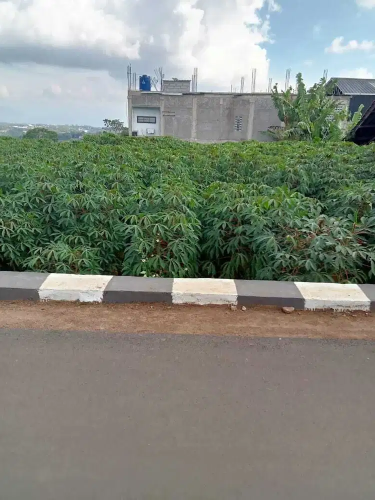 Tanah Darat  Cocok untuk Bikin Rumah Tanah  ciap Bangun