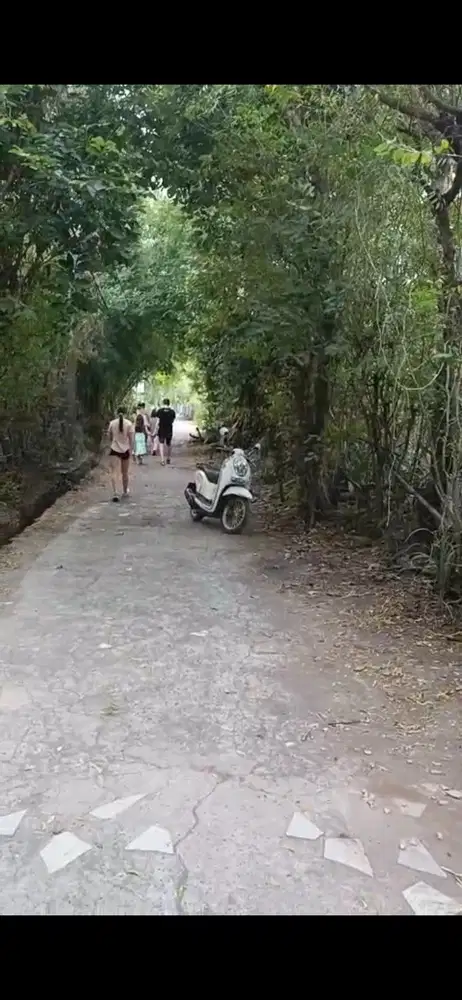 di jual tanah murah   1 menit ke pantai  pemuteran   buleleng link vila