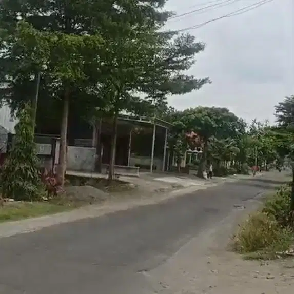 Di Jual Sawah Pinggir Jalan Mepet Kota Blitar Bagian Selatan