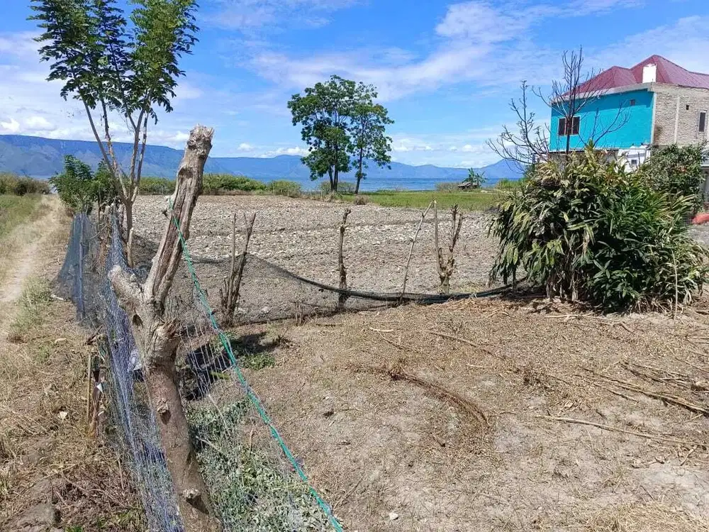 Dijual Tanah di Desa Dosroha ,Simanindo Samosir