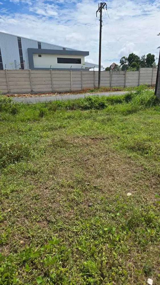 TANAH DI PEKALONGAN LAMPUNG TIMUR