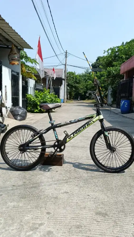 Pacific spinix cx 20 inch