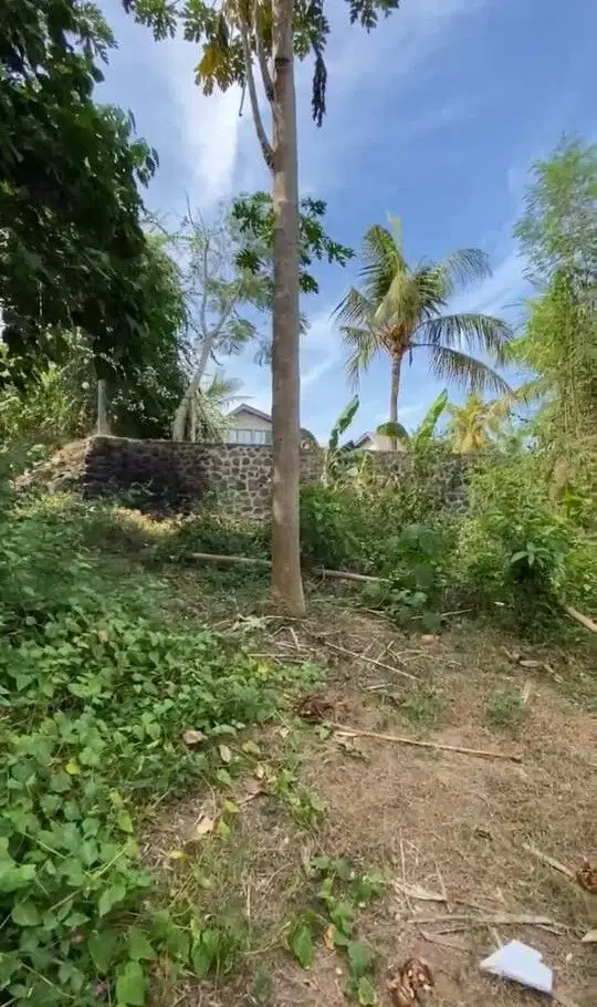 BUC 22 Are View Pantai di Saba Gianyar Bali