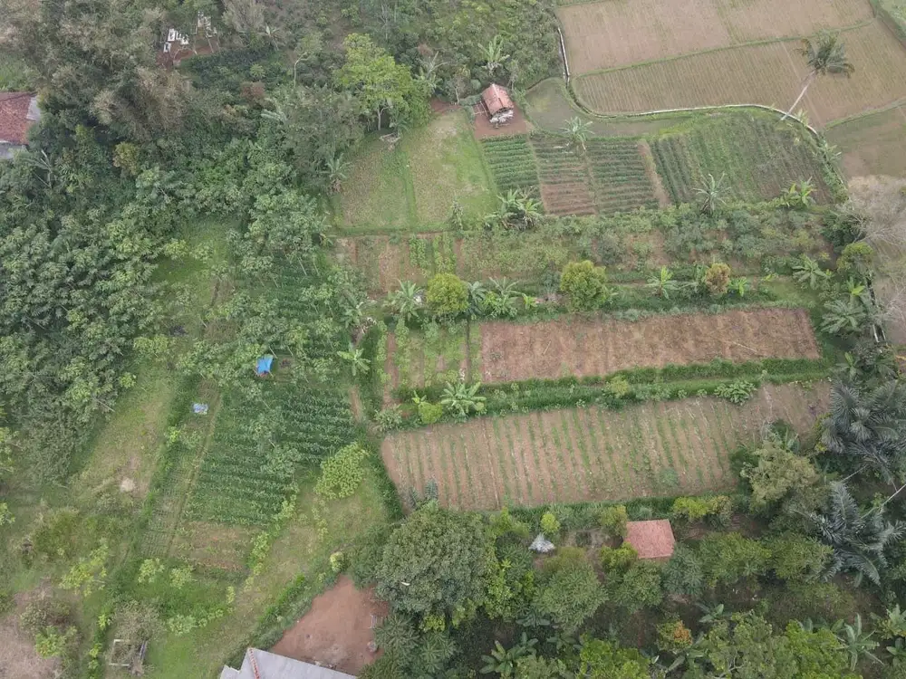 Jual Cepat Tanah 1 hektar SHM BU BANGET di Nyalindung Sukabumi