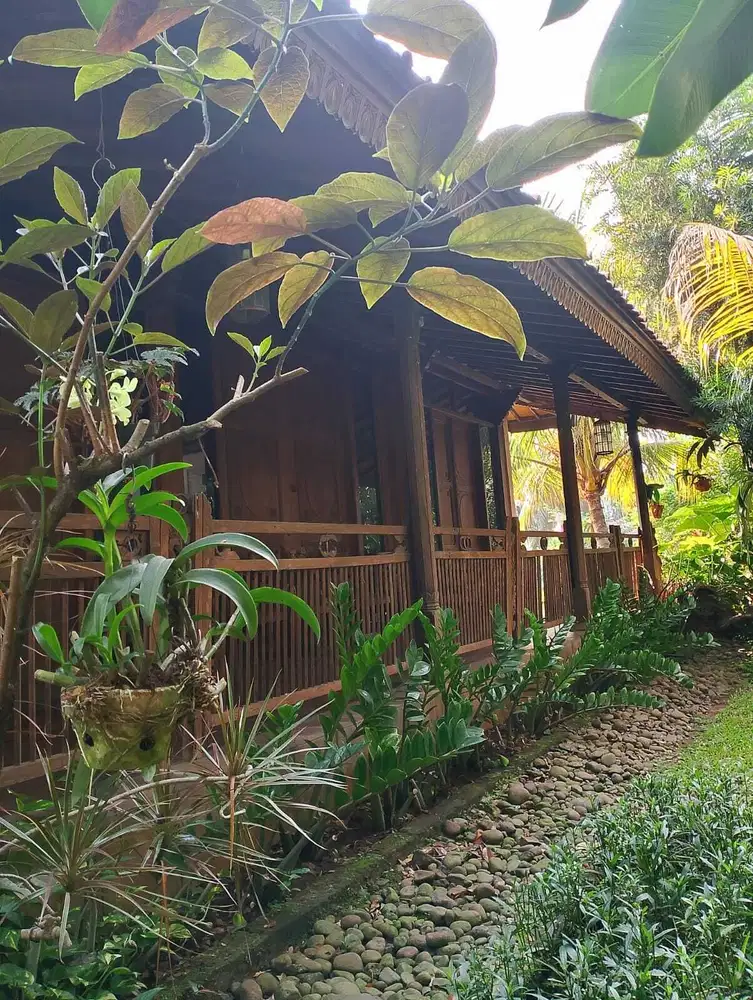 Rumah Joglo di Kalibata Timur Raya 1000m2, cantik, asri, adem