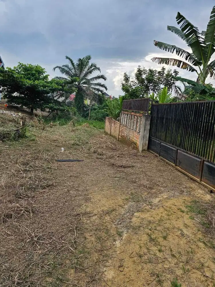 Jual Tanah Kebun Kopi Dekat Rs Royal Prima