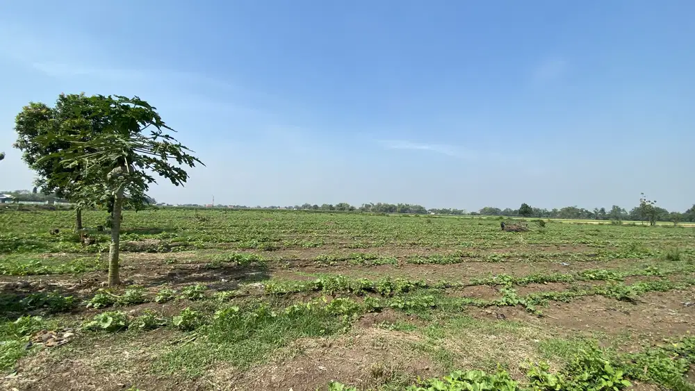 DIJUAL TANAH DAN BANGUNAN RUMAH COCOK UNTUK PERUMAHAN