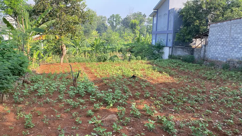 TANAH MURAH LUAS STRATEGIS DEKAT KAMPUS UNDIP LOKASI DI BULUSAN