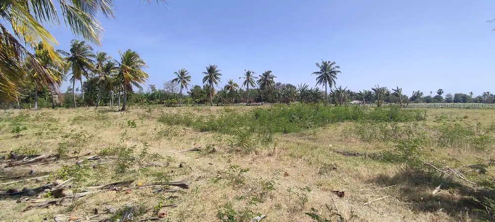 Dijual Tanah Kosong Kab. Kupang