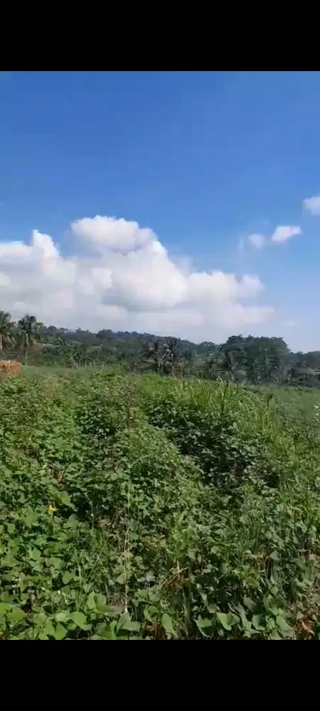 Jual tanah mandirancan