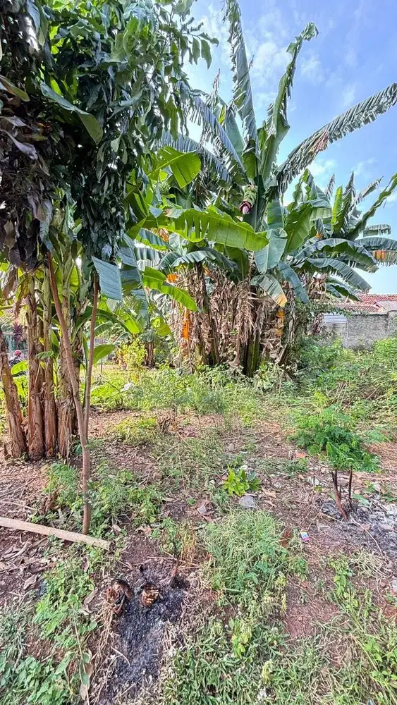 Kavling Tanah Siap Bangun di Jl Kolam Renang Purwamekar Purwakarta