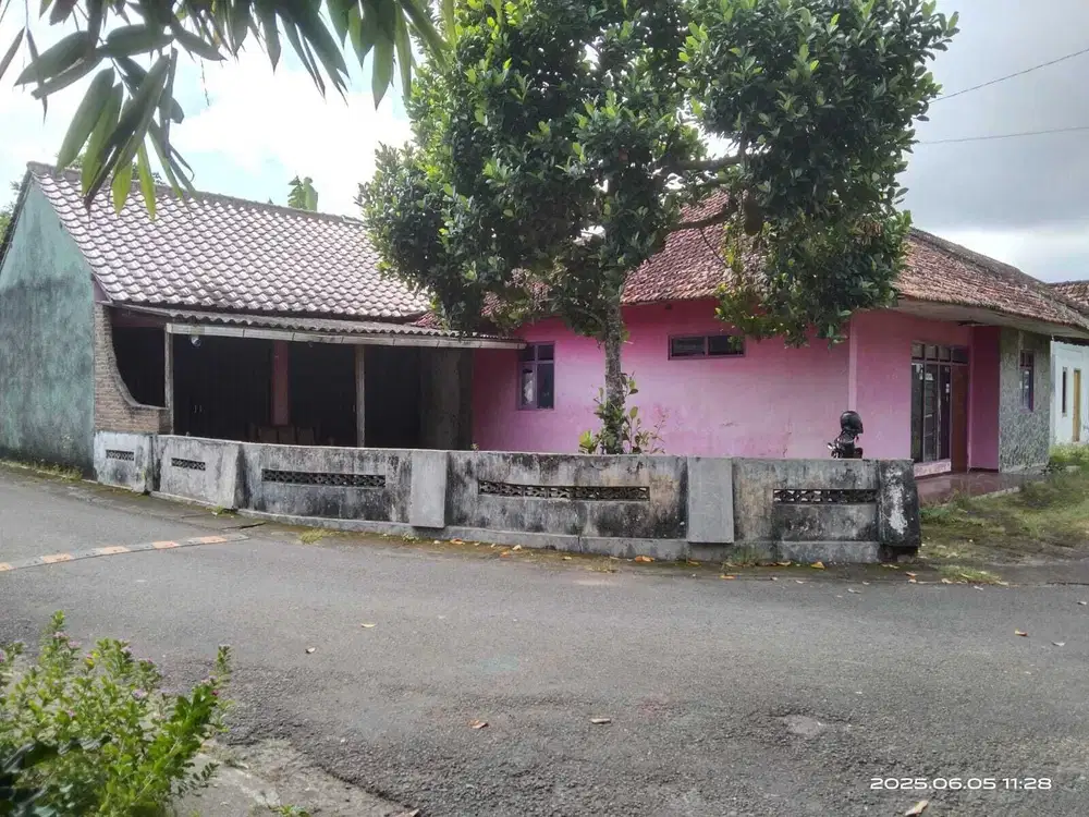 JUAL RUMAH MURAH DAN LUAS DI TRIRENGGO BANTUL YOGYAKARTA