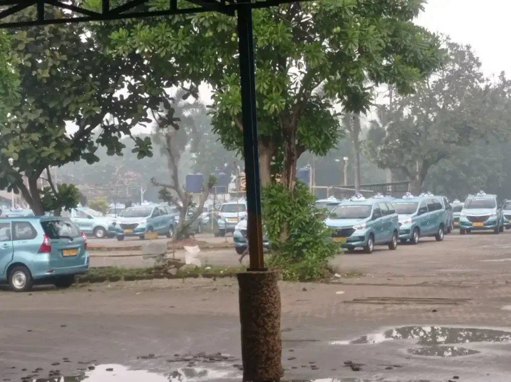 Dibutuhkan Driver Taksi Blue Bird Group