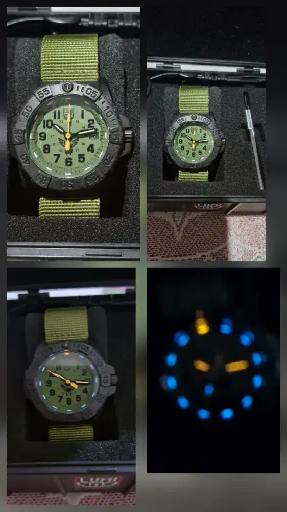 Luminox 3500 Viking Edition