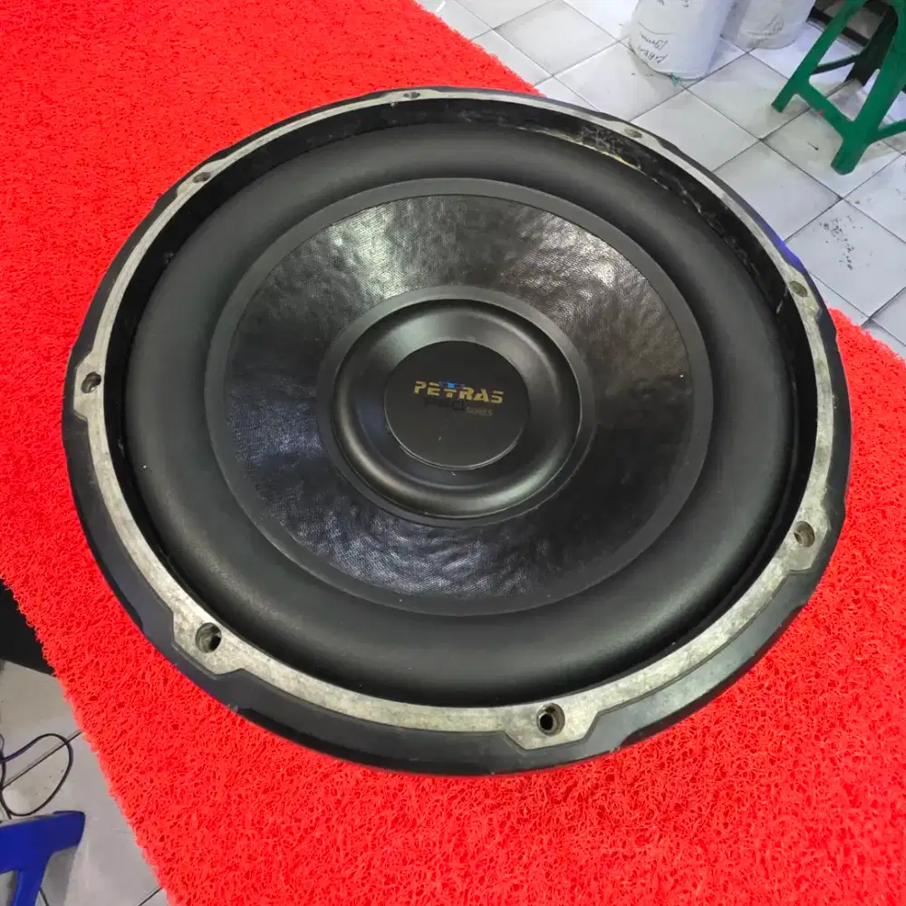 Subwoofer PETRAS PRO SERIES PRO-12 Subwoofer PETRAS 12 in