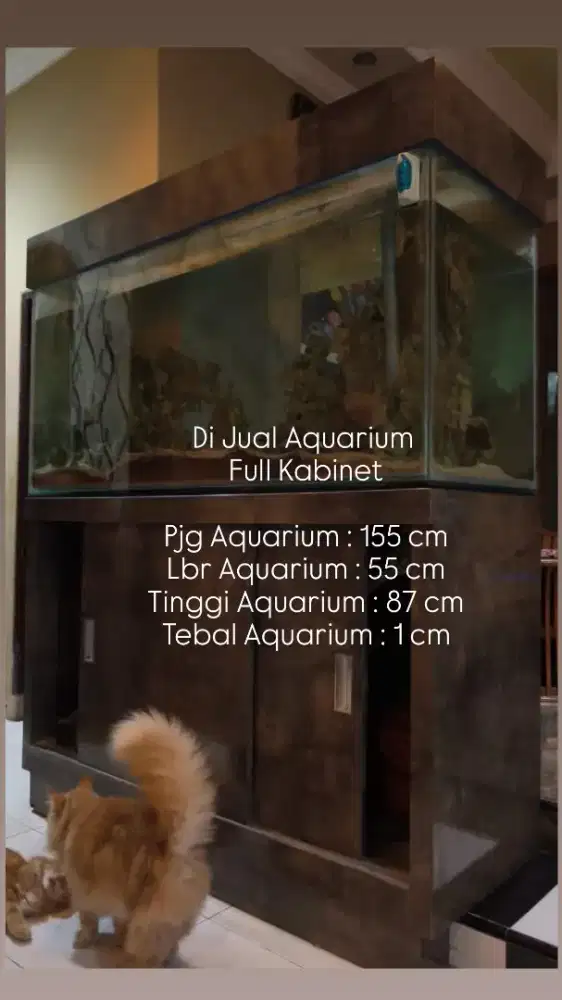 Aquarium Full Kabinet