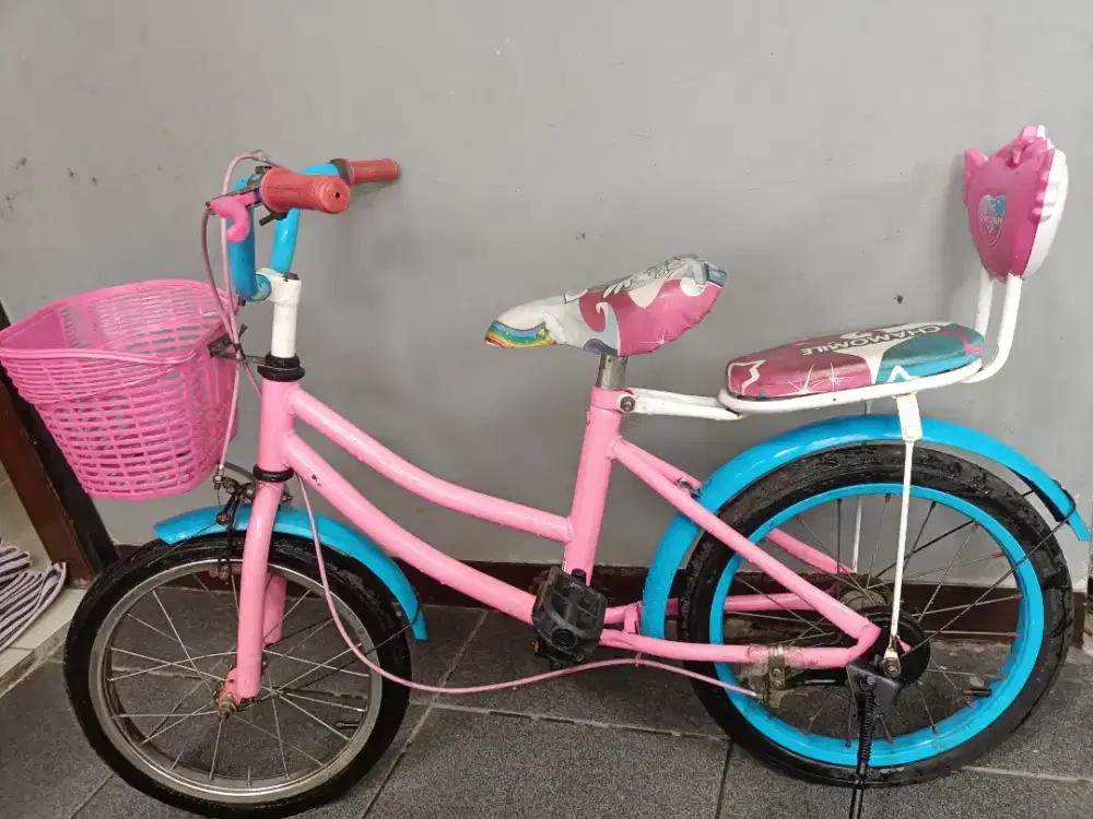 Sepeda anak perempuan