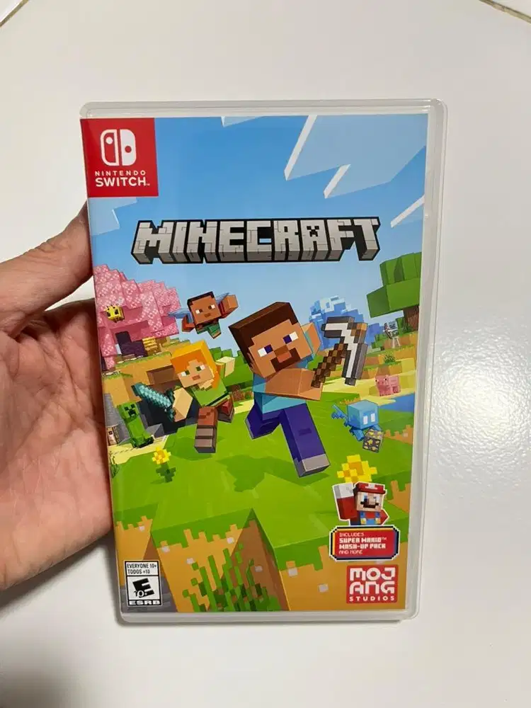 Minecraft Nintendo Switch