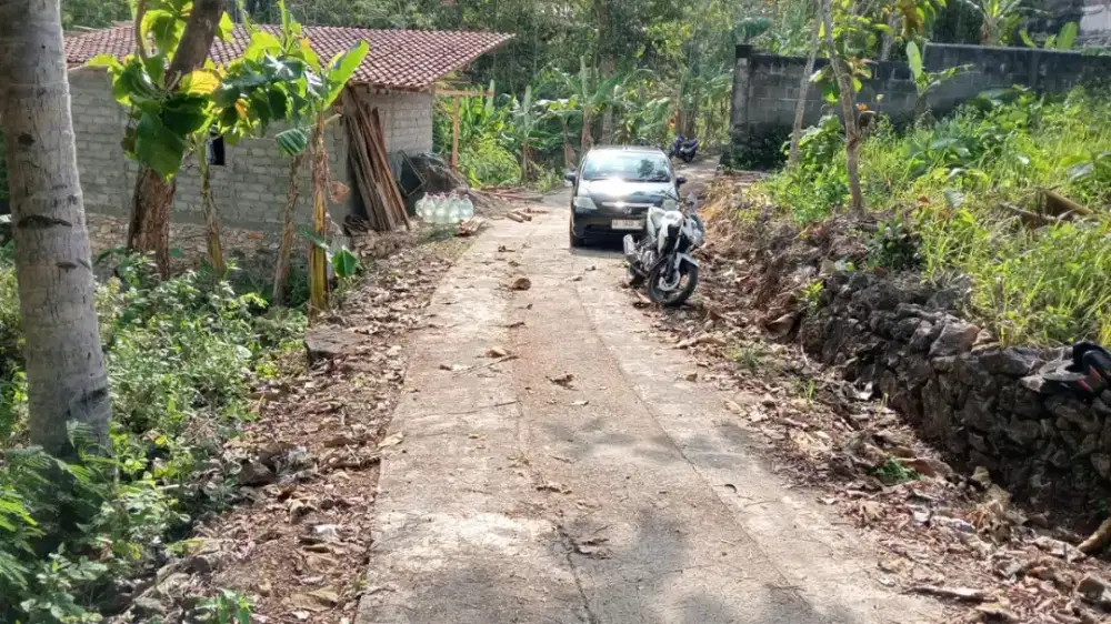 Jual tanah penuh pohon jati di playen Gk