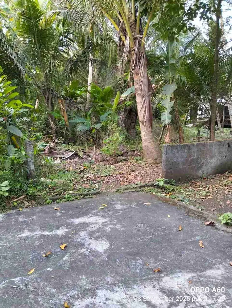 JUAL TANAH DI MANGUNAN BENDUNGAN WATES KULONPROGO