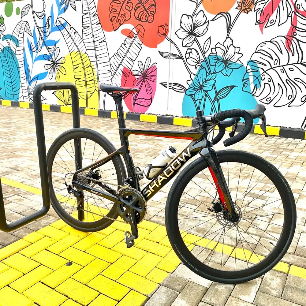 Sepeda Shadow customized