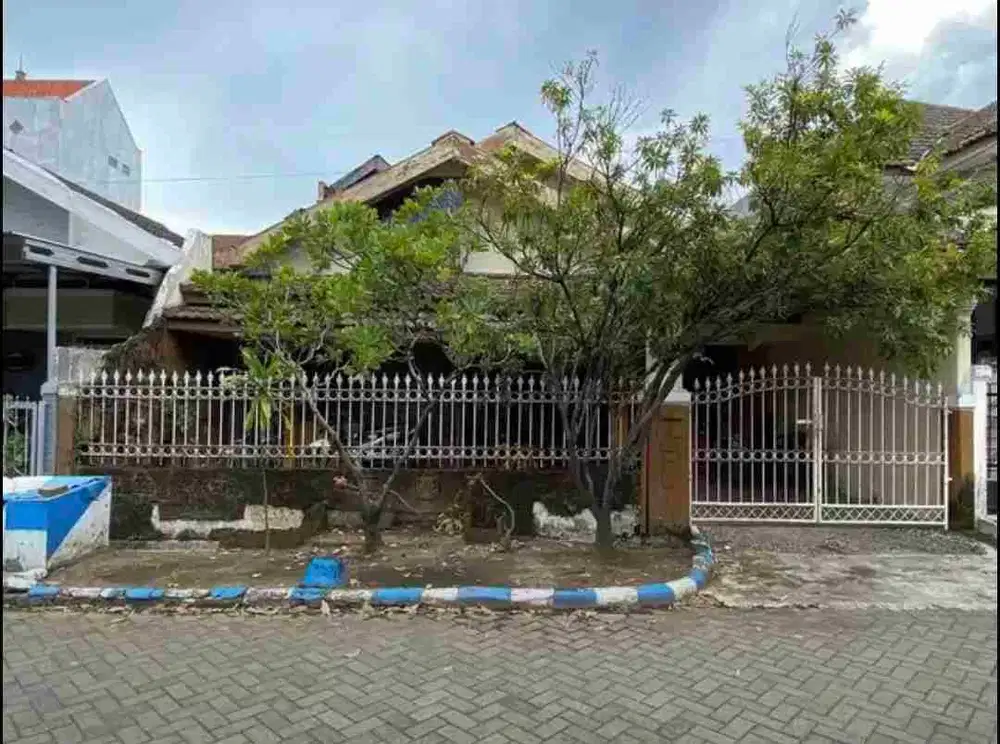 Pondok chandra palem termurah