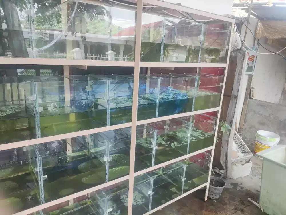 Jual aquarium bekas