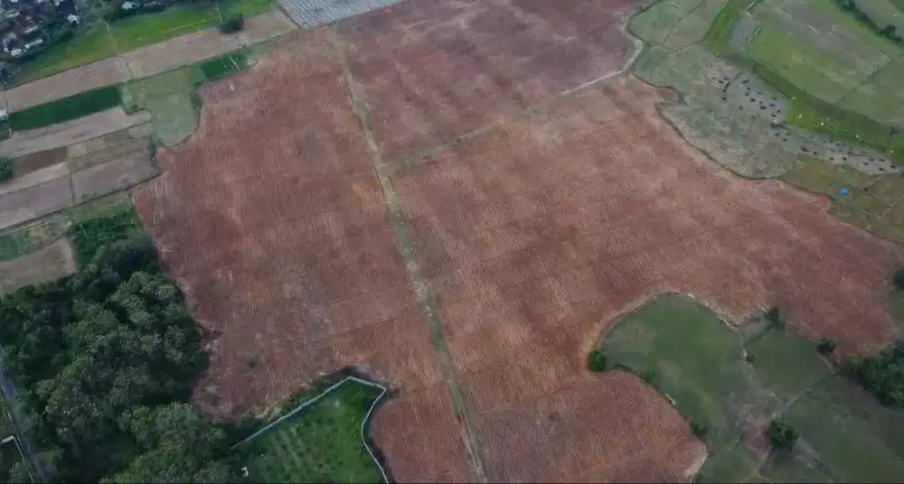 Dijual Lahan Pertanian Kragan Sedan Rembang Jawa Tengah