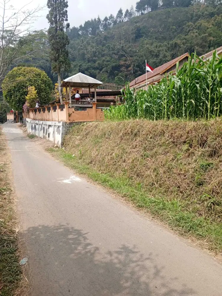 Tanah Kebun Poros Aspal Gunungsari Kota Batu
